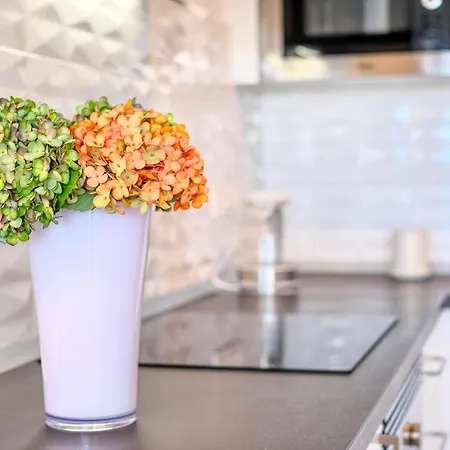 The Ocean View Senator Modern Apartment *